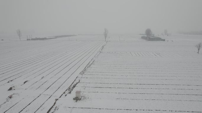 航拍田野雪苍茫大地dlog灰片