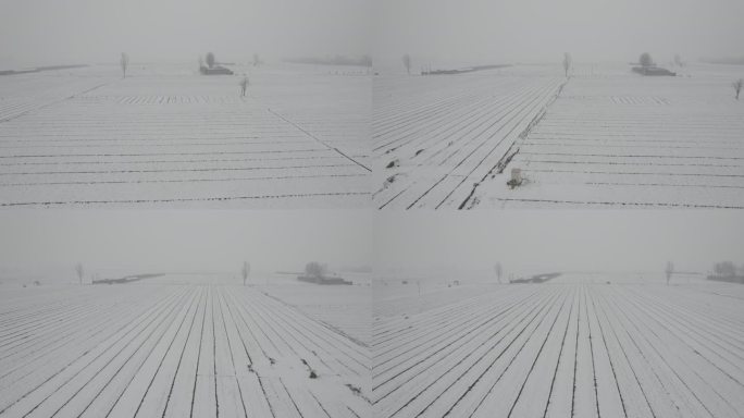 航拍田野雪苍茫大地dlog灰片