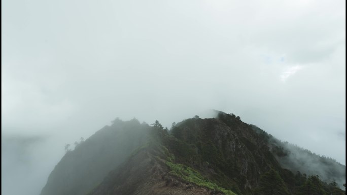 山谷清晨云雾延时