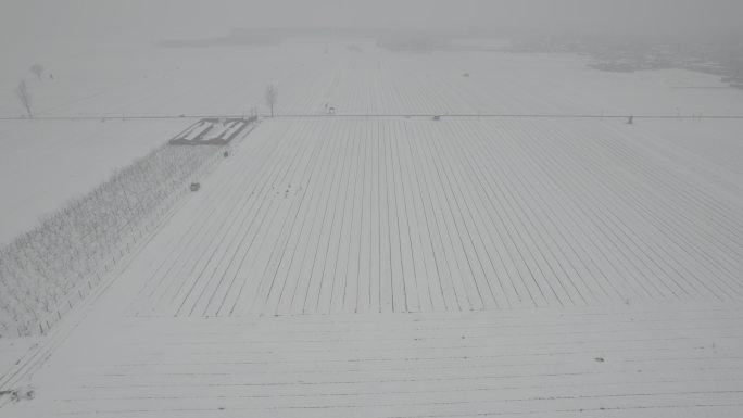 航拍大雪覆盖的田野丨Dlog丨原始灰片