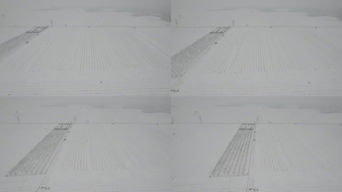 航拍大雪覆盖的田野丨Dlog丨原始灰片