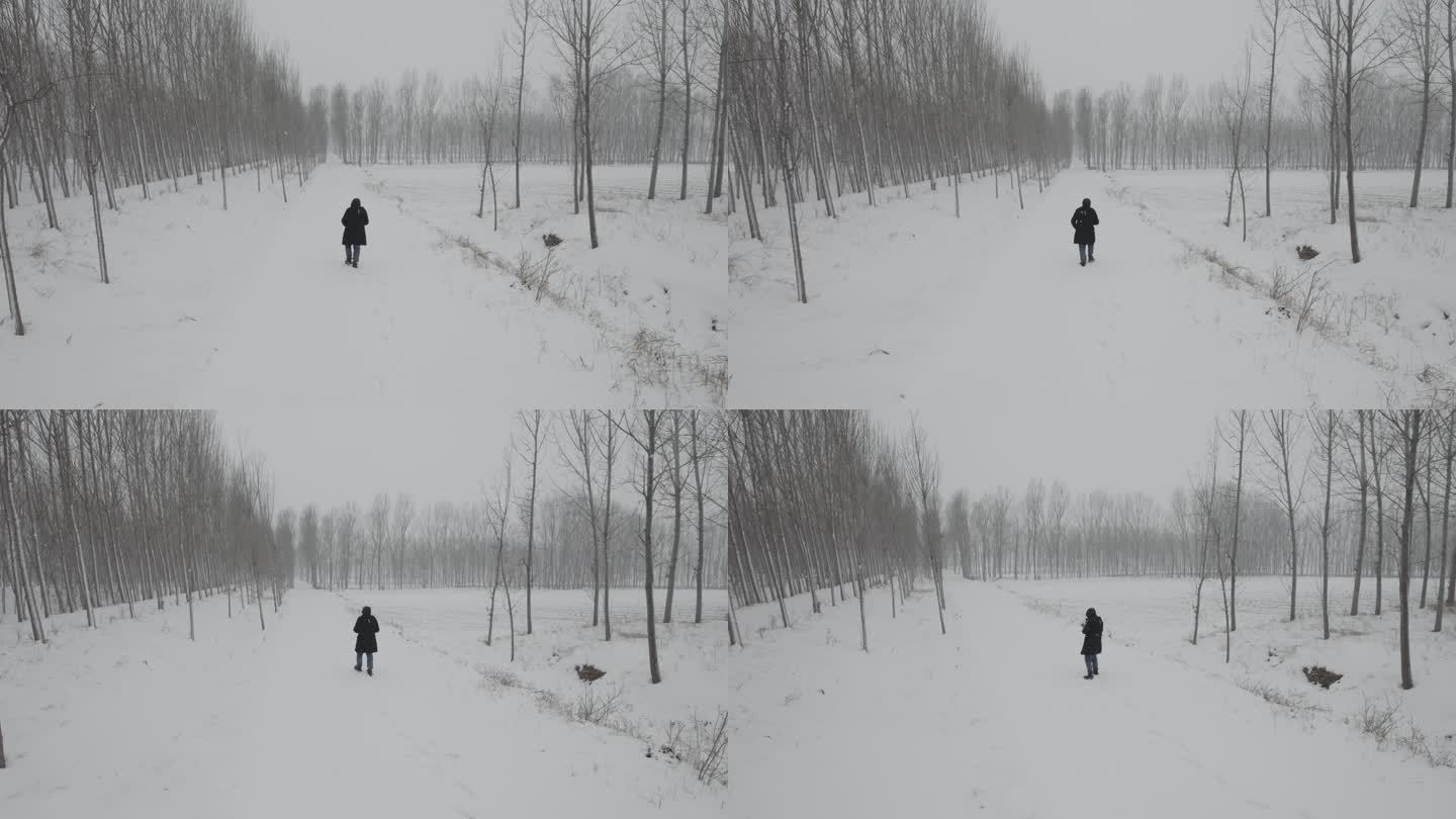雪地行走无人机跟随丨Dlog灰片素材