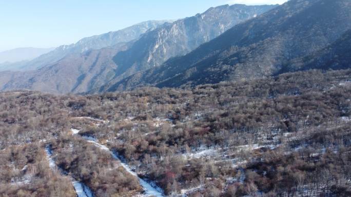 鳌山树林航拍