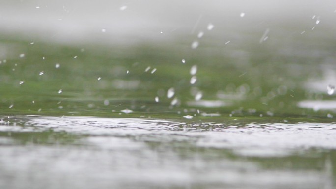 秋雨