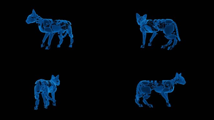 蓝色科技线条机械猫透明通道素材