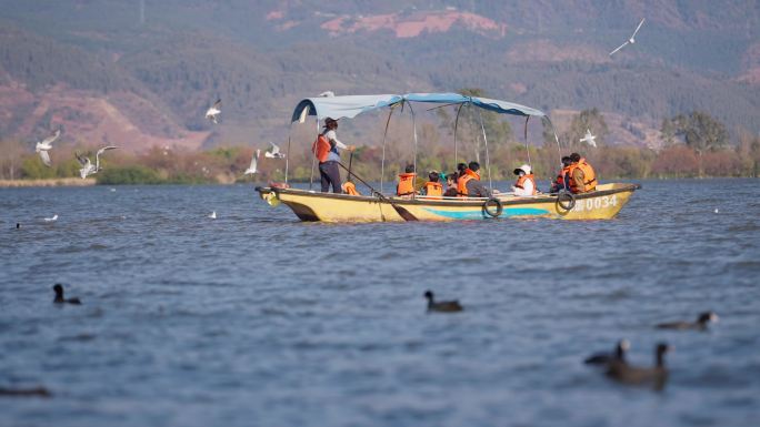 游客坐船在西昌邛海边旅游观赏海鸥