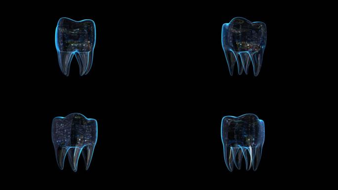 科技全息一颗牙齿透明通道素材