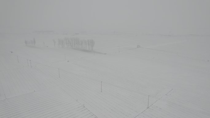 航拍雪花覆盖大地丨Dlog丨原始灰片