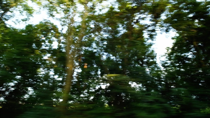 车窗外风景