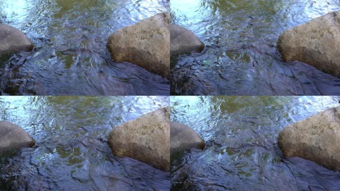 山涧溪流升格视频