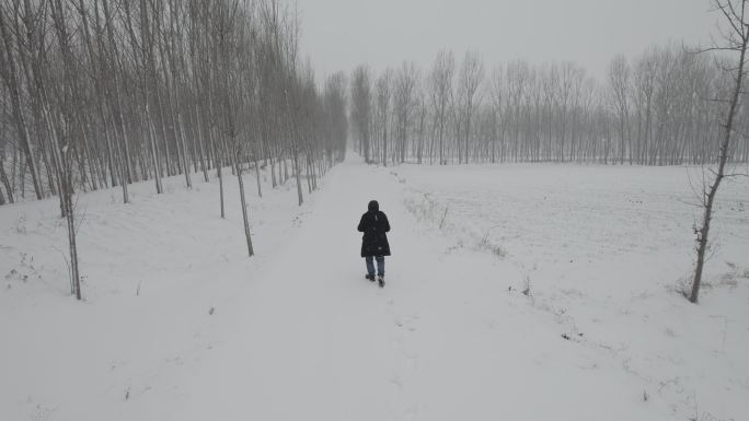 雪地行走无人机跟随丨Dlog灰片素材