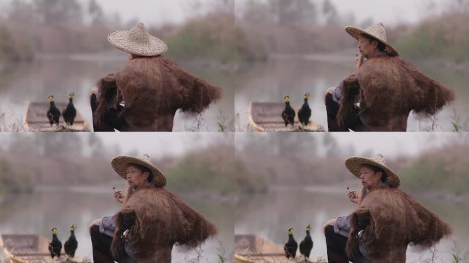 【独家】渔民芦苇湖边回眸