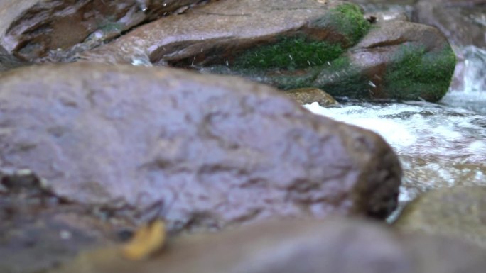 山涧溪流升格视频