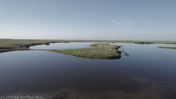 青海湖  湿地 国家公园