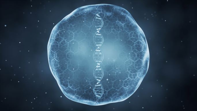 薄膜内的DNA结构3D渲染