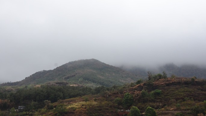 2022年山火之后烟雨中的重庆北碚缙云山