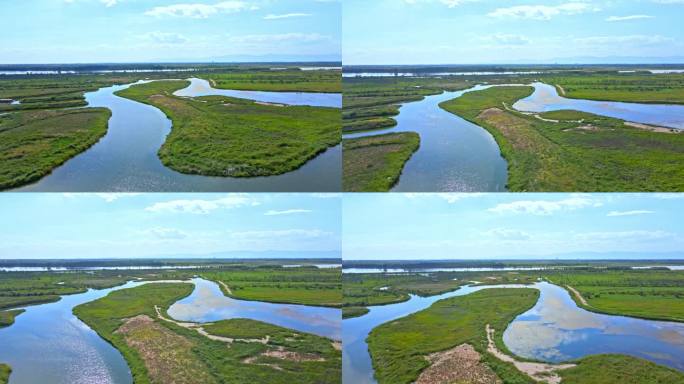 黄河河套流域-湿地生态建设