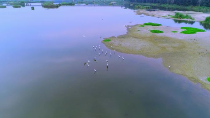 诸城潍河湿地