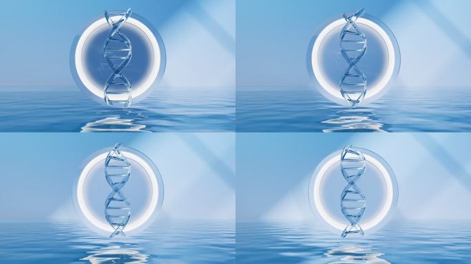水面上的DNA结构3D渲染