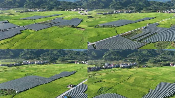 4K航拍湖南崀山农田风光