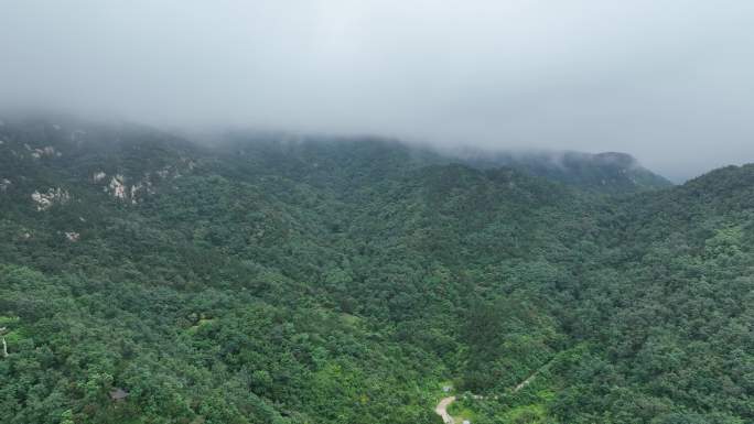 青岛李沧竹子庵公园