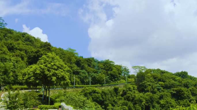 广州火炉山森林公园 流水 绿水青山