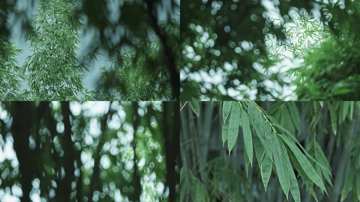 竹林光影光斑