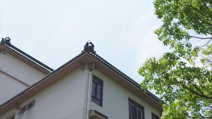 南京考古研究院屋檐窗户栅栏外景B015
