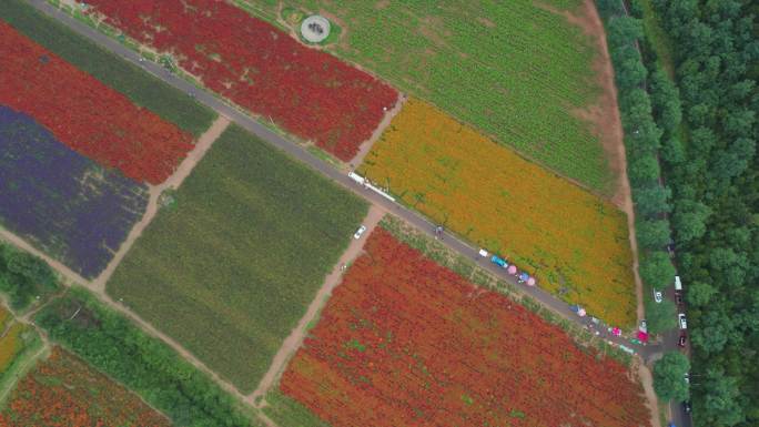 【4K60帧】北京市延庆区四季花海航拍