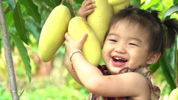 芒果和小孩笑脸升格2