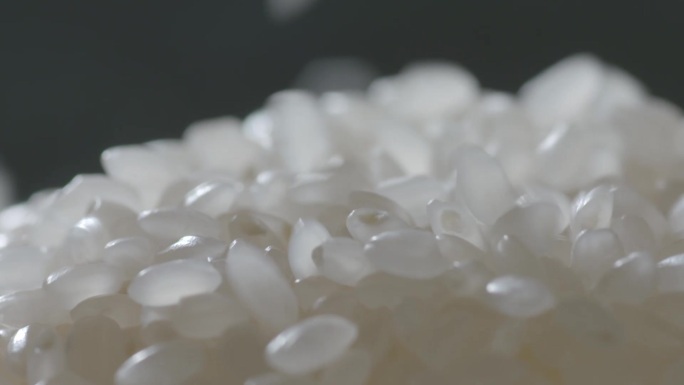 唯美五常大米香米东北大米水稻谷物食材特写