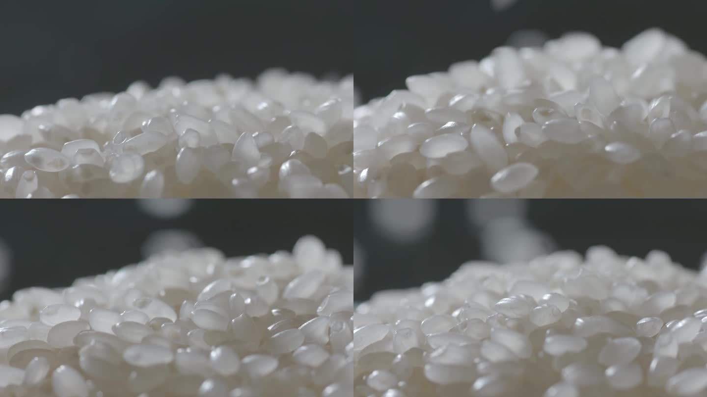 唯美五常大米香米东北大米水稻谷物食材特写