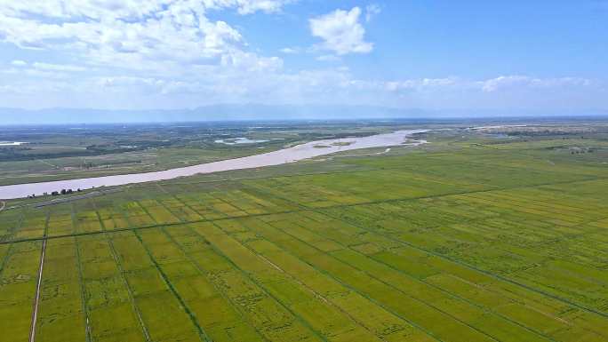 河流平原水资源-稻田粮食产区