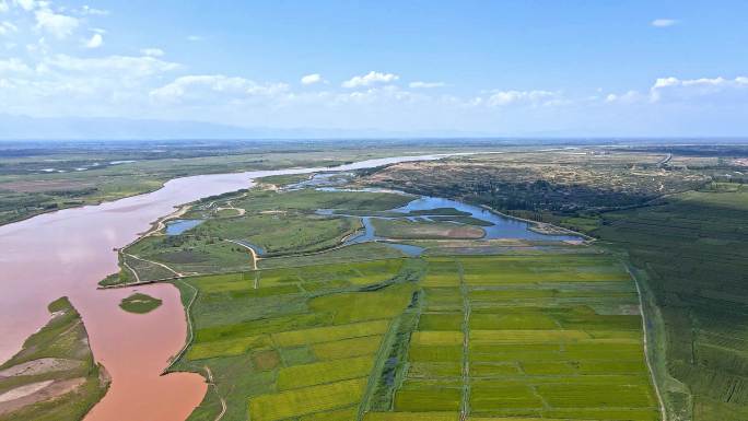 黄河湿地河滩河道治理生态建设