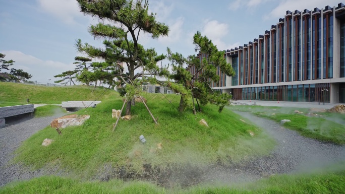 上海人文松江艺术中心园区植物景观设计