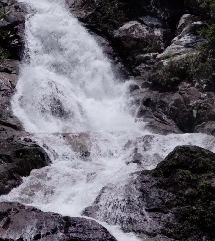 竖屏瀑布雨林海南亚热带森林丛林五指山