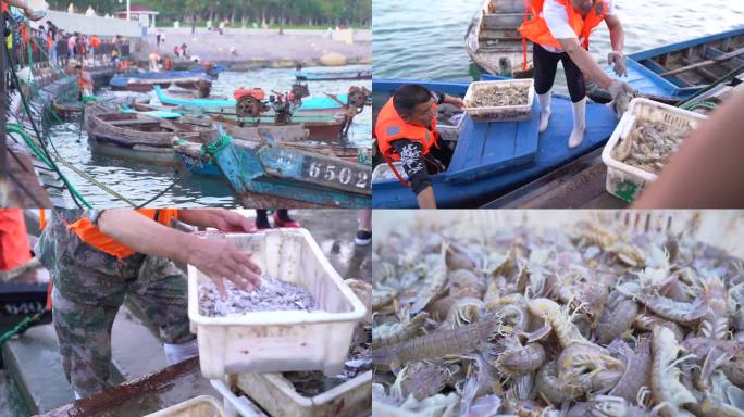 威海合庆码头海鲜市场