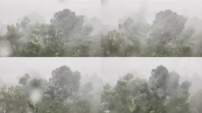 南京夏日狂风暴雨