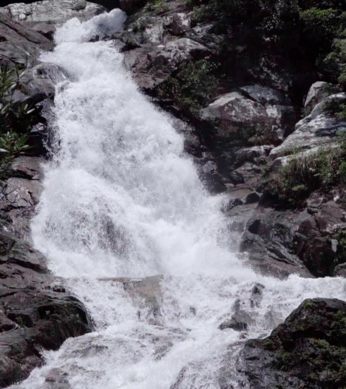 竖屏瀑布雨林海南亚热带森林丛林五指山