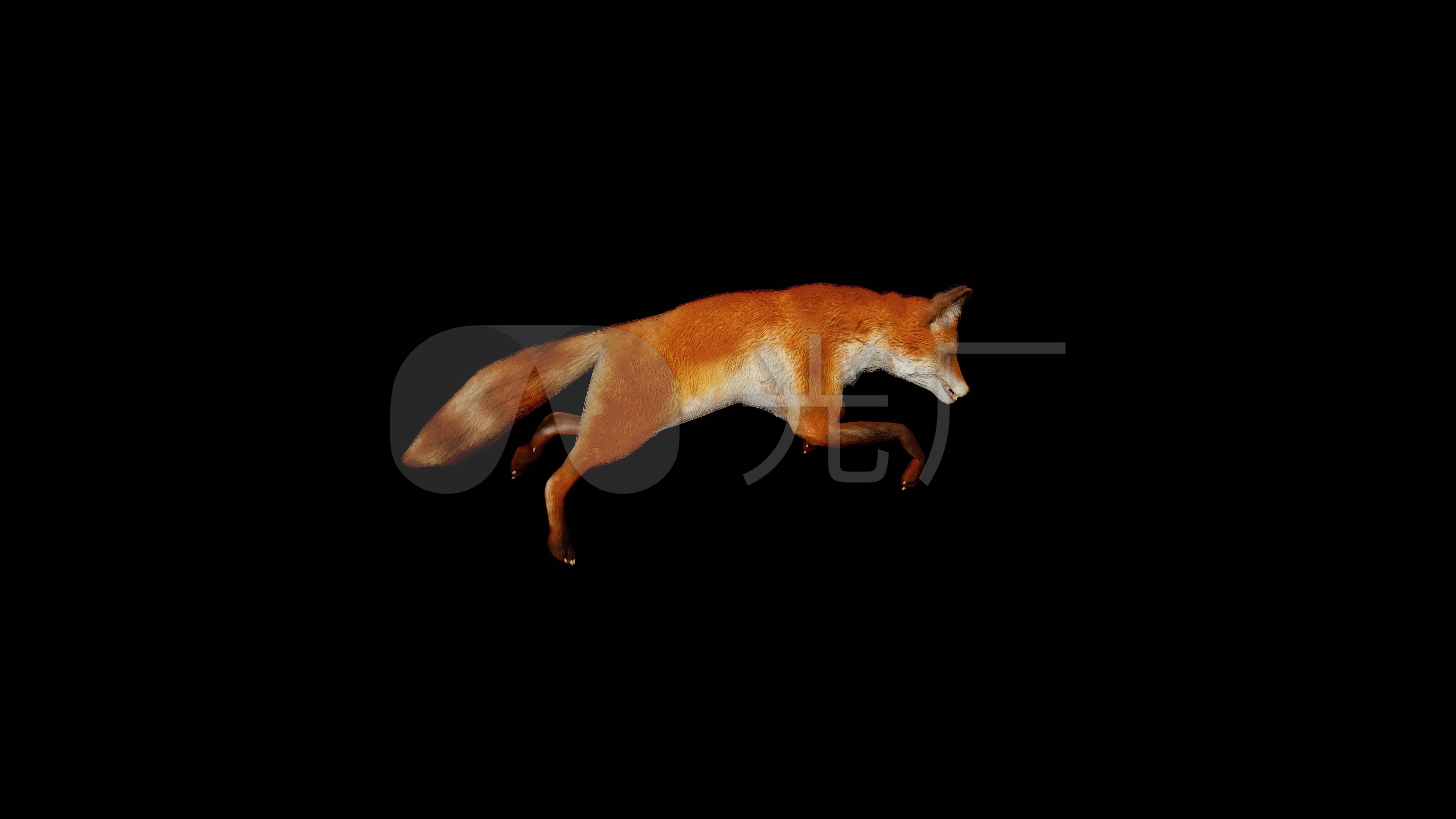 跳跃狐狸-动物桌面壁纸预览 | 10wallpaper.com