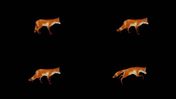 狐狸走路跑跳休息通道