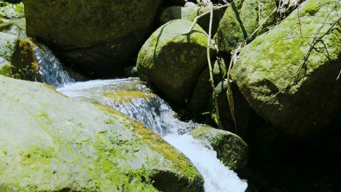 山间小溪流水高帧率 小溪流水 山间流水