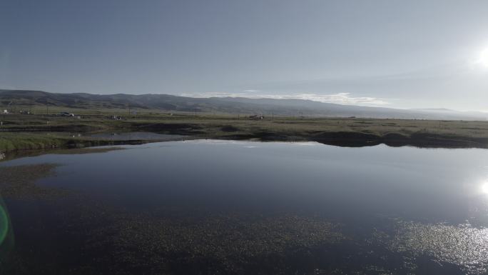 青海湖  黑马河  湿地