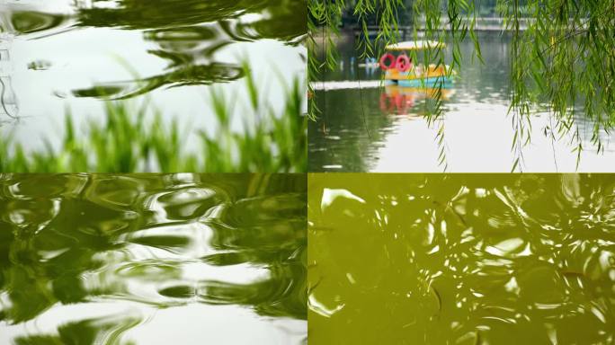水中倒影鱼儿游动唯美水面柳叶树影4k视频