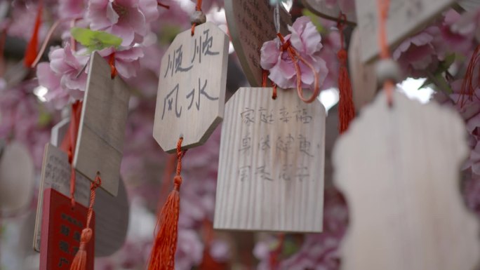 樱花树下许愿树心愿牌祝愿树祈愿树祈祷带