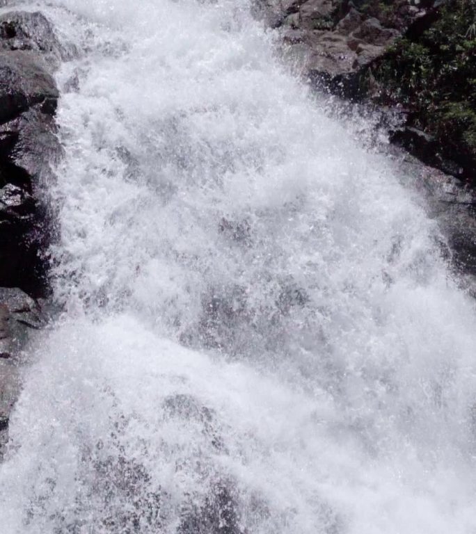 竖屏瀑布雨林海南亚热带森林丛林五指山