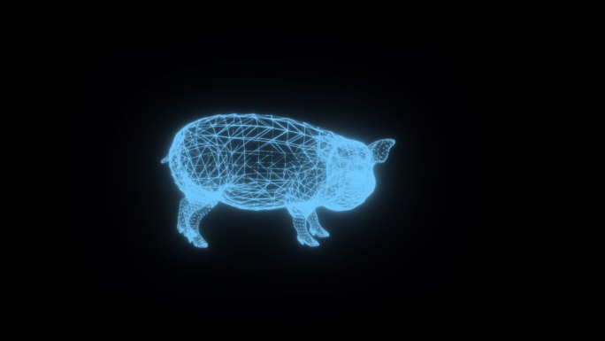 猪动画全息科技通道