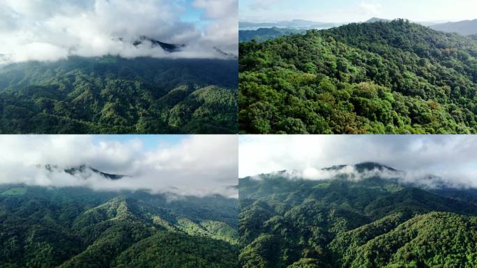 4k航拍山云海山川高山森林大自然阳光早晨