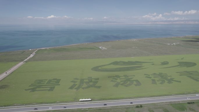 青海湖   碧波荡漾