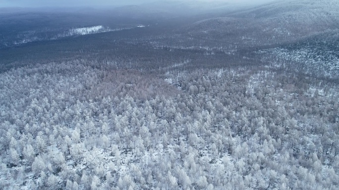 航拍林海雪原风光